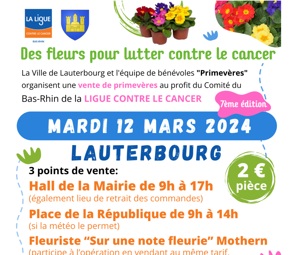 Primevères : des fleurs contre le cancer
