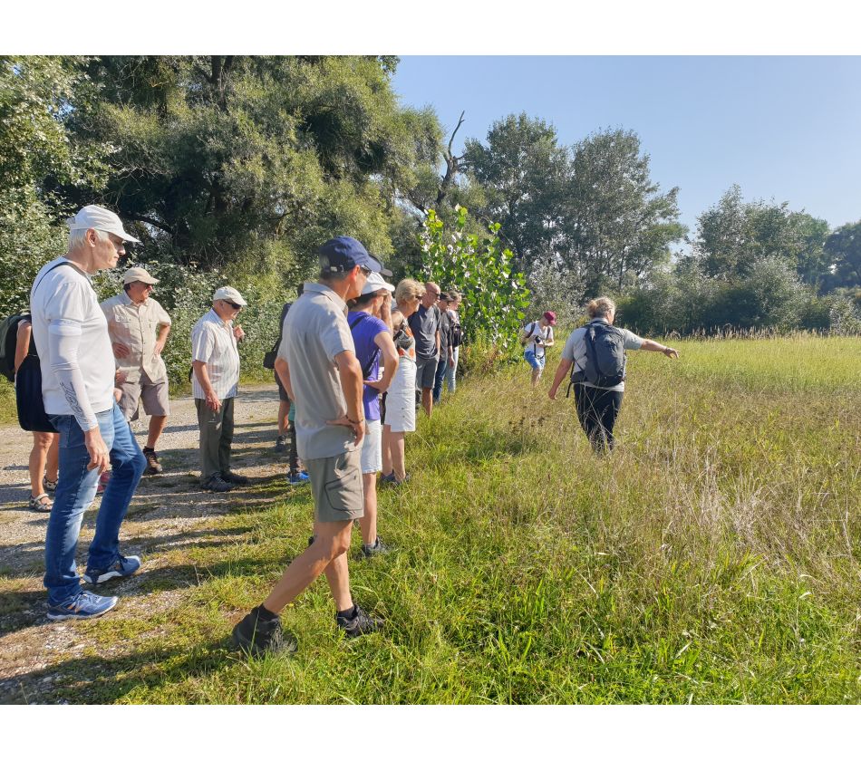 Visites guidées à pied de la réserve naturelle du delta de la Sauer