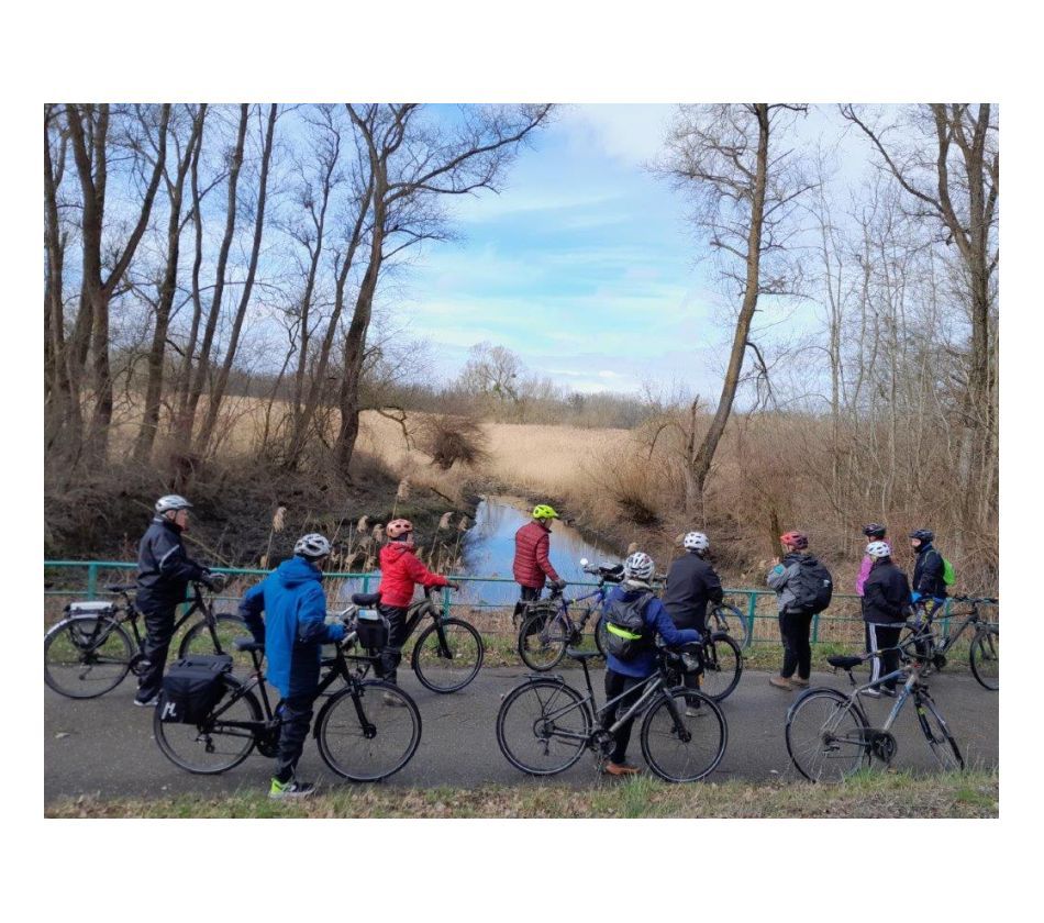 Visite guidée franco-allemande à vélo